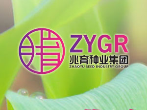 【簽約】河北兆育種業集團有限公司，簽署網站改版升級合同