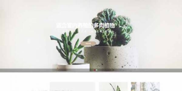 如何開發公司網站制作Web 前端？