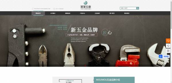 企業網站建設，具有LaTeX排版和數學可視化功能的網站建設