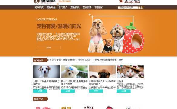 企業網站建設，網頁轉換系統的信息