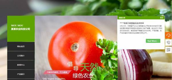 公司網站制作，秩序與靈動并存的網頁設計