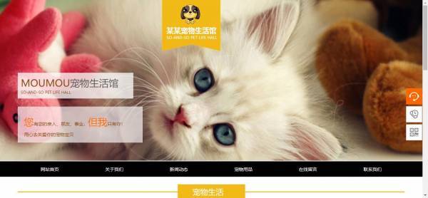 公司網站制作，云端訪問利用功能