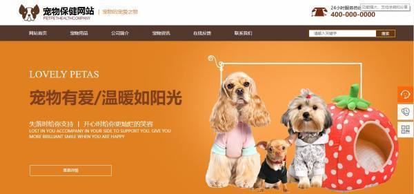 公司網站制作，明確建站目的和功能定位